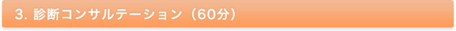 3. 診断コンサルテーション（60分）